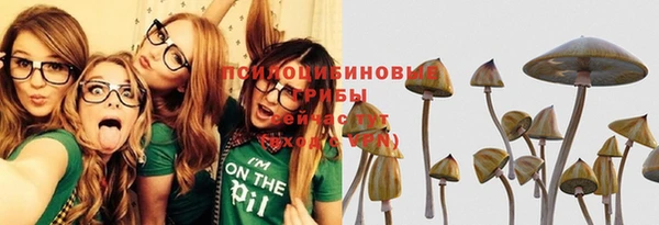 сатива Володарск