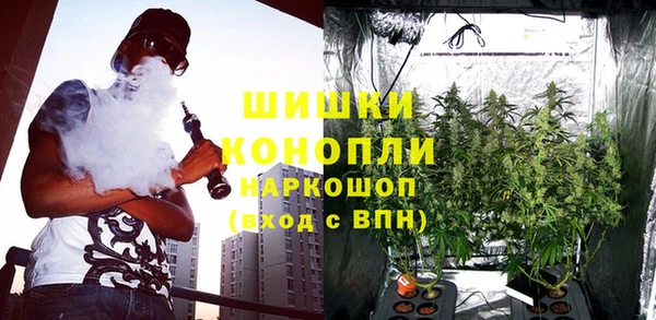 сатива Володарск