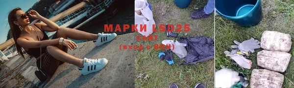 сатива Володарск