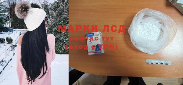 сатива Володарск