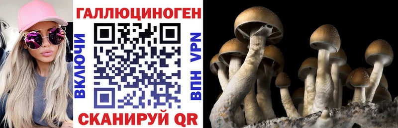 Галлюциногенные грибы MAGIC MUSHROOMS Кизел